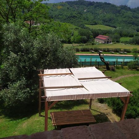 Antonella House -Podere Della Collina Palaia Dış mekan fotoğraf