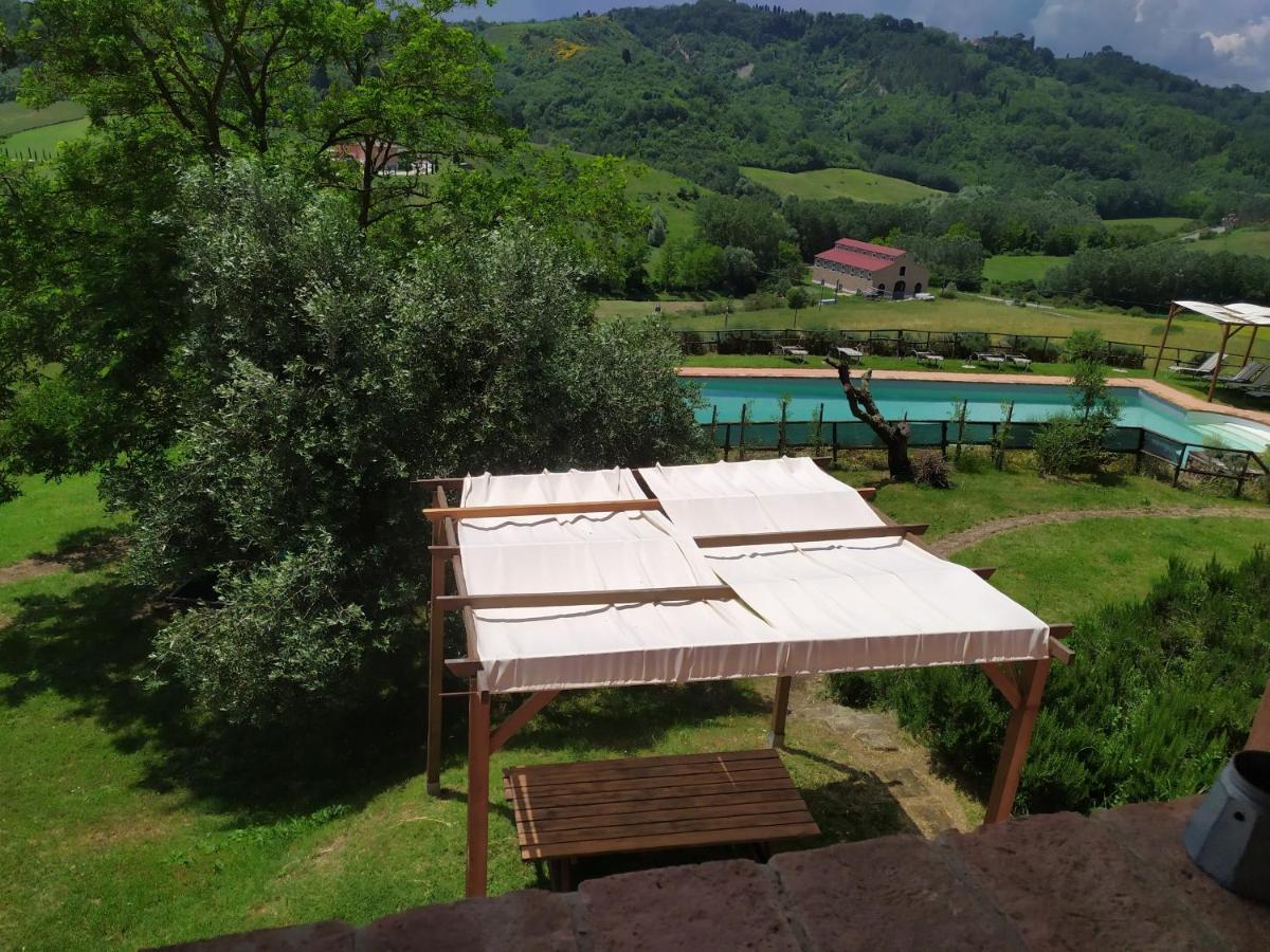 Antonella House -Podere Della Collina Palaia Dış mekan fotoğraf