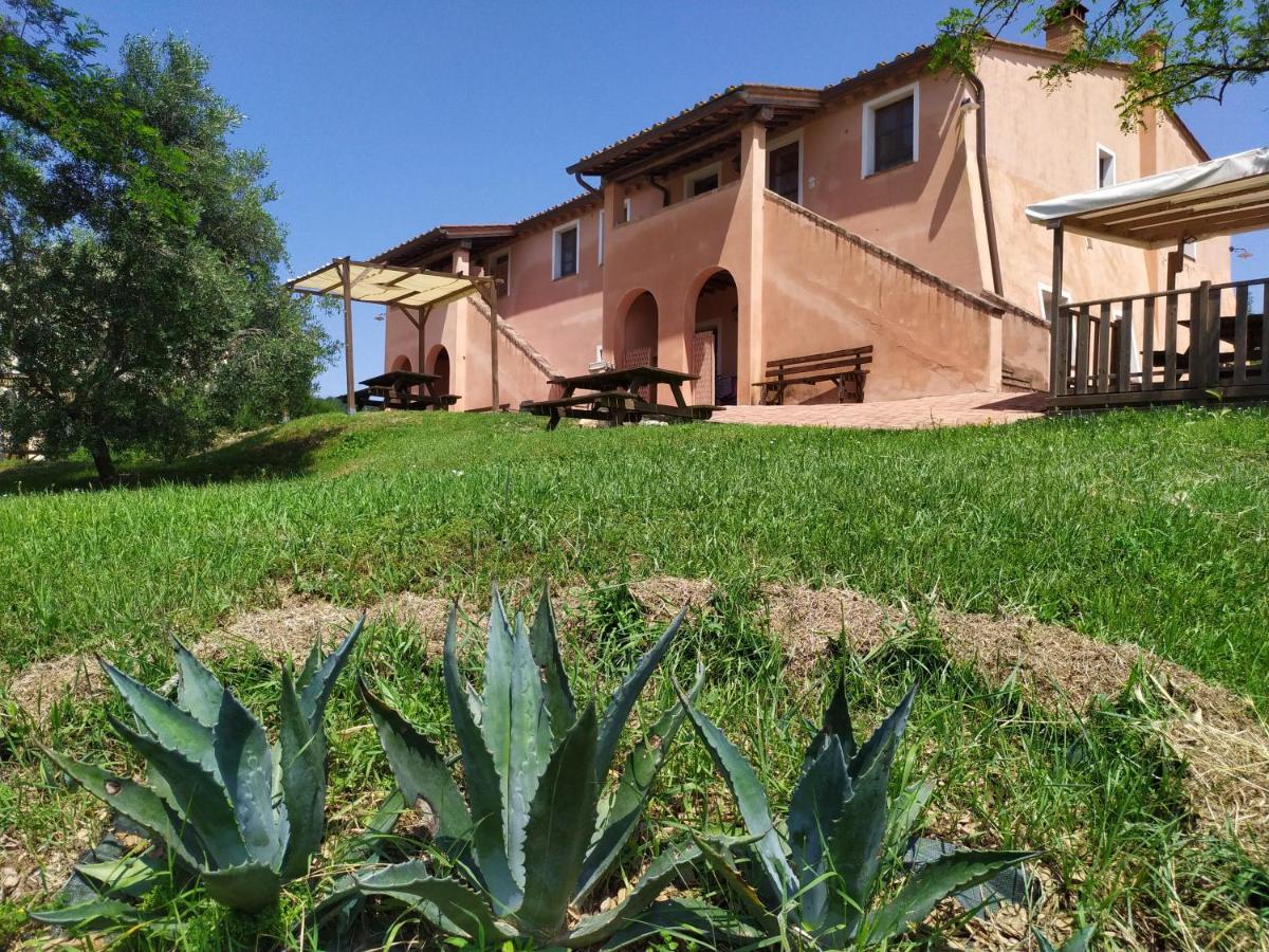 Antonella House -Podere Della Collina Palaia Dış mekan fotoğraf