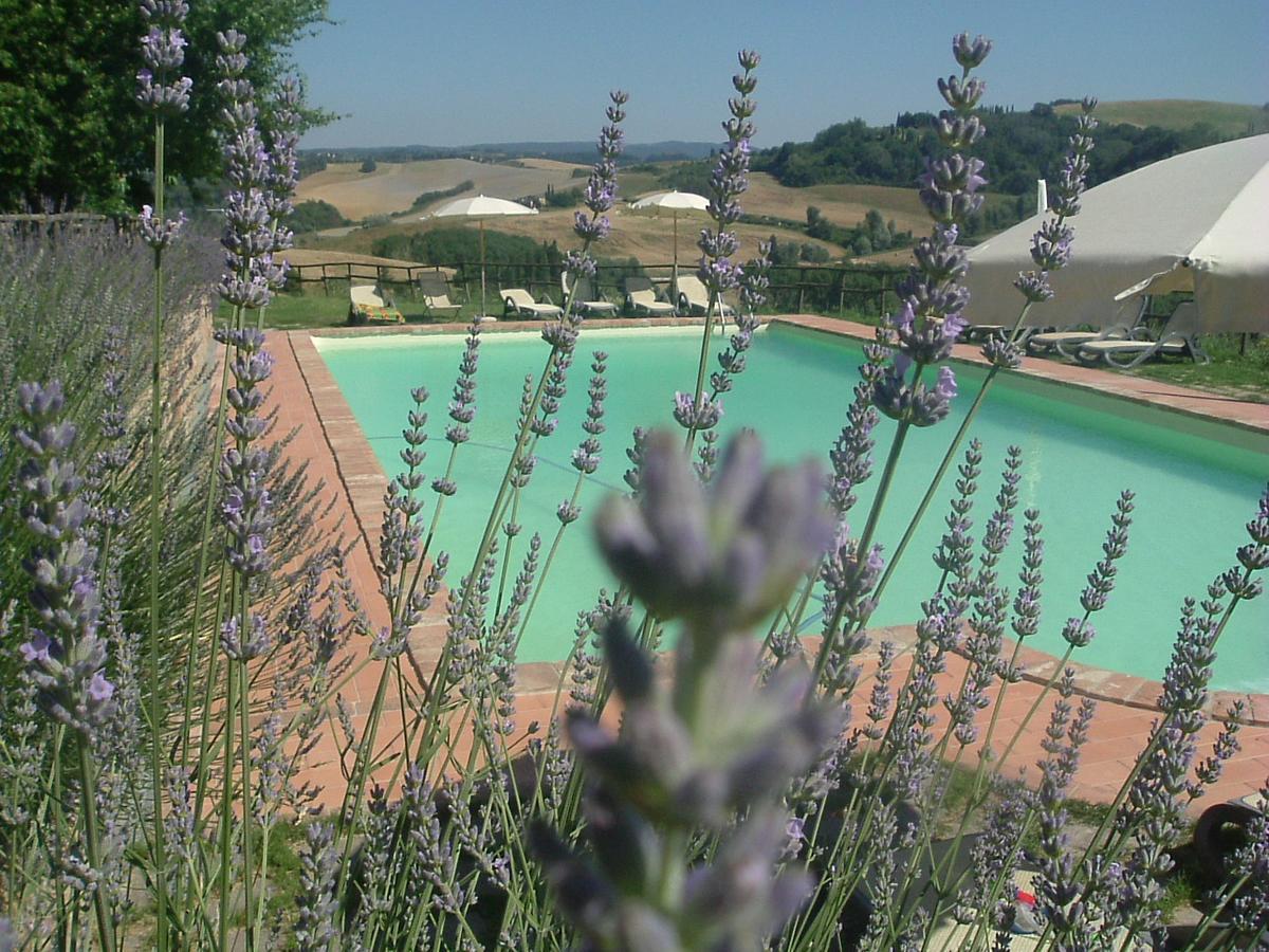 Antonella House -Podere Della Collina Palaia Dış mekan fotoğraf